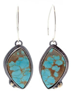 Turquoise Dangle Earrings with Ball Accents